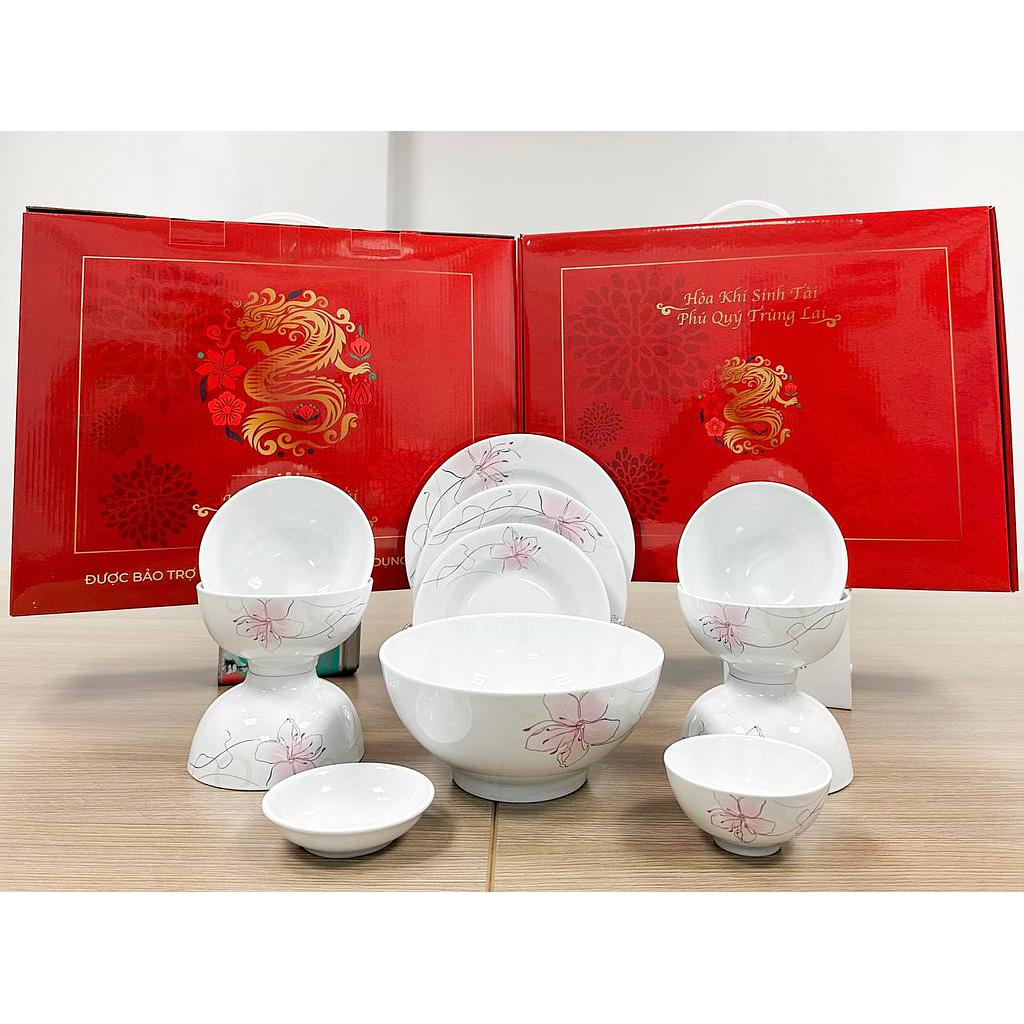 Bộ Set sứ hoa 12 món